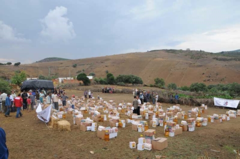 مؤسسة خليفة الإنسانية تحقق نقلة نوعية في مبادراتها الإنسانية ومشاريعها التنموية