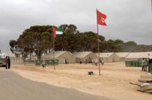 وزيرة الصحة التونسية تثمن دور دولة الإمارات في مساعدة الأشقاء الليبيين